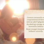 Maca Root Postpartum: Boost Energy and Hormonal Balance Naturally